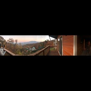 Meet your Posher, Krystal